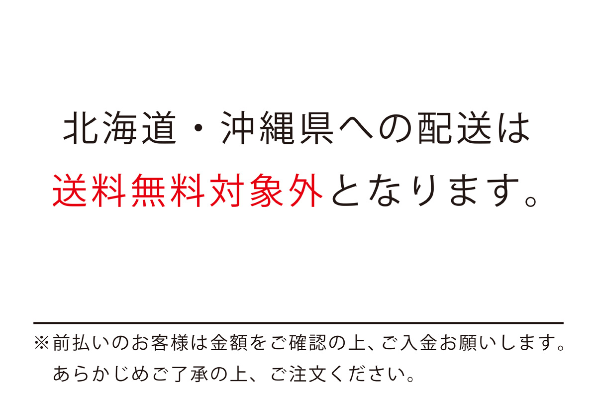 ZION Rising 3 PF ザイオン3 Rising PF ザイオン ・ウィリアムソン ジョーダン  【FZ1322-601】  バスケ バッシュ 靴 シューズ 2024/5/16 ★▲■